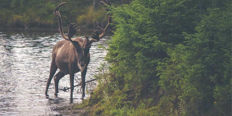 中小型企业品牌策划预算分配方案：低成本高回报策略