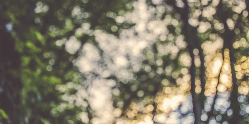 从VI设计到广告落地：大印象中国品牌策划执行与效果评估全攻略