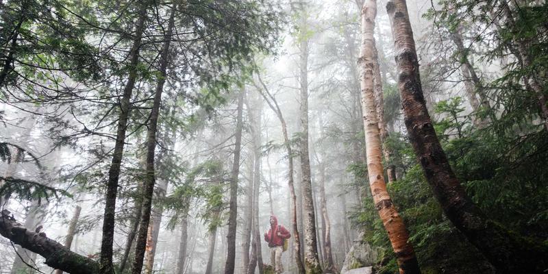 从战略到视觉:如何制定一击即中的品牌策划方案?
