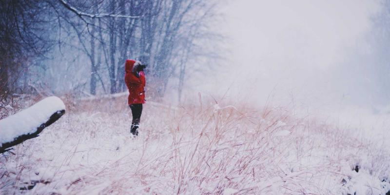 品牌架构的智慧：多品牌、子品牌与背书品牌的战略选择与治理之道
