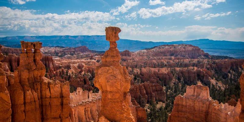 品牌策划背后的心理密码：如何巧用认知偏差，让VI设计与广告直击人心