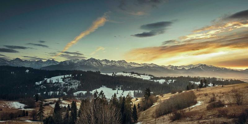 红海突围：中国品牌如何以差异化策略与视觉传达重构竞争格局