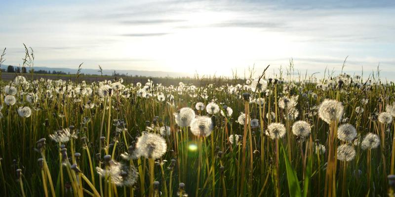 超越视觉革命：如何通过感官营销整合，打造令人上瘾的品牌世界
